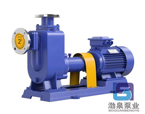 ZW300-800-20 自吸式無堵塞排污泵